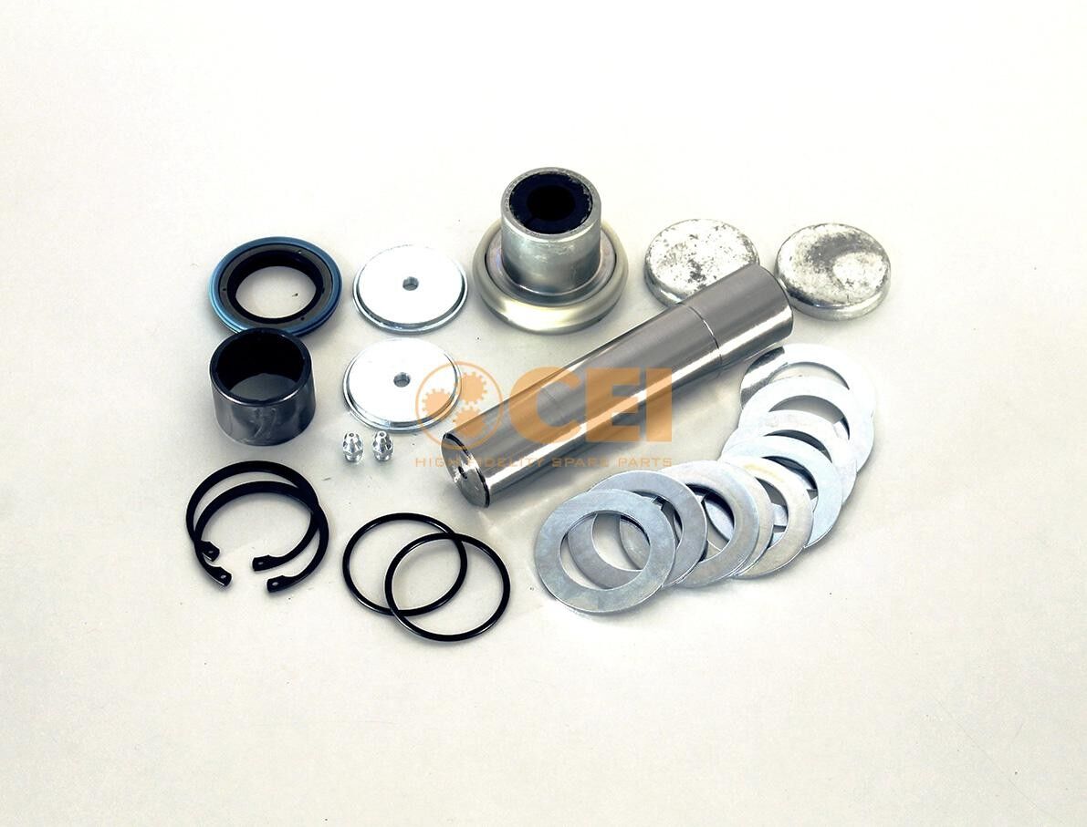 CEI 230.113 Repair Kit, kingpin
