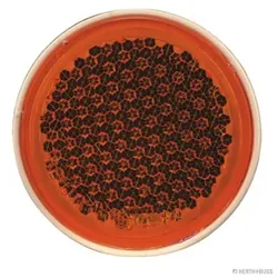 HERTH&BUSS Rückstrahler, 84 mm, gelb gelb - 78623029 - gelb