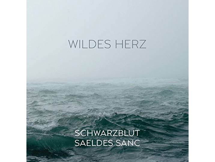 Schwarzblut Vs Saeldes Sanc - Wildes Herz