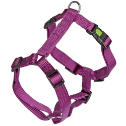 82159 Geschirr MIAMI lila, 20 mm, 55 - 76 cm