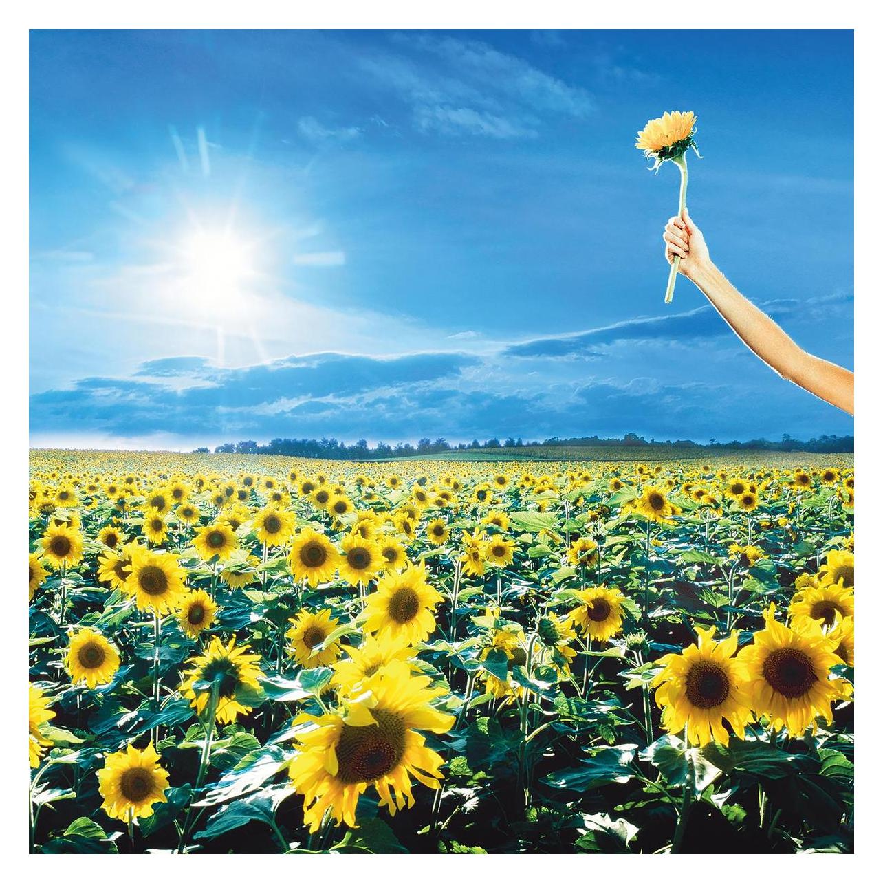 Rhino Thank You (Stone Temple Pilots) (40942970)