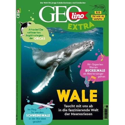 GEOlino Extra / GEOlino extra 98/2023 - Wale, Geheftet von Juliane van Treeck, Gruner + Jahr, 978-3-652-01260-7