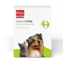PHA GelenkVital Erg.Futterm.Pulver f.Hunde/Katzen 150 g