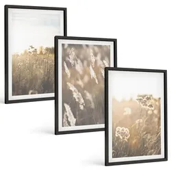 BILDER SET 3er Set - 40x60 cm Schwarzer Rahmen - Landschaftsgrasblumen Wärme