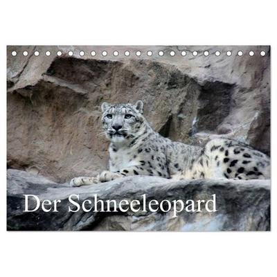 Der Schneeleopard (Tischkalender 2027 DIN A5 quer), CALVENDO Monatskalender