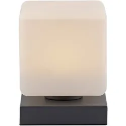 Neuhaus Leuchten LED-Tischleuchte 4036-13