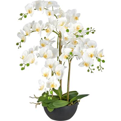 Kunstorchidee CREATIV GREEN "Phalaenopsis", weiß, Obermaterial: 100% Kunststoff, Kunstpflanzen