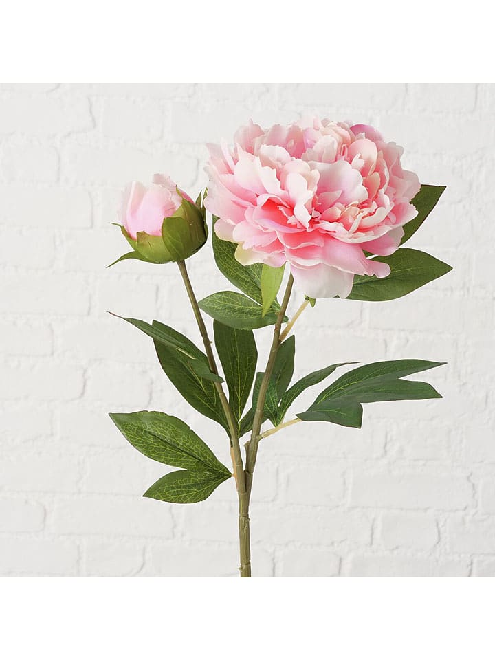 Boltze Kunstblume "Päonie" in Rosa/ Grün - (H)72 cm - onesize