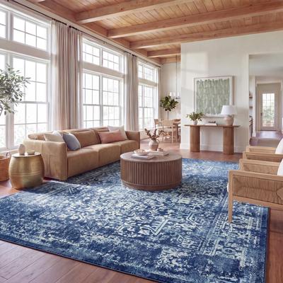 SAFAVIEH Evoke Quinn Vintage Distressed Rug