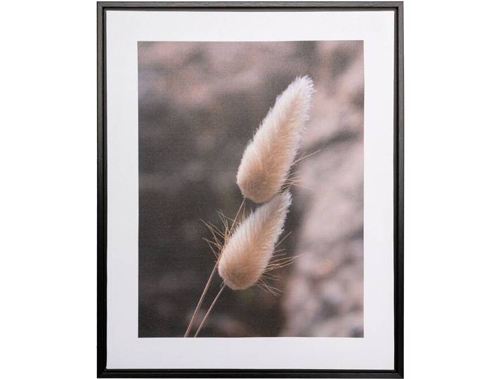 Bild mit Rahmen CREATIV HOME Leinwandbild Grasblüte , bunt (farbe rahmen: schwarz, farbe bild(er): bunt), B:40cm H:50cm T:2,5cm, Canvas, Kunststoff, Bilder, Bild mit Rahmen, mit Rahmen