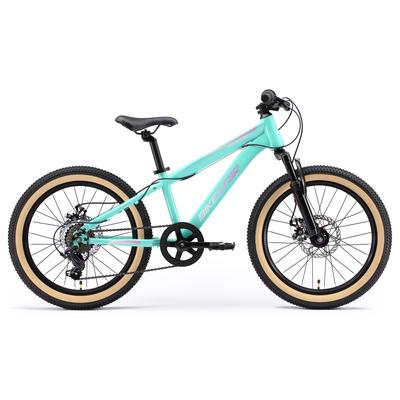 Jugendfahrrad BIKESTAR Gr. 28, grün, Fahrräder, Kinder, 28cm, 20 Zoll (50,80cm)