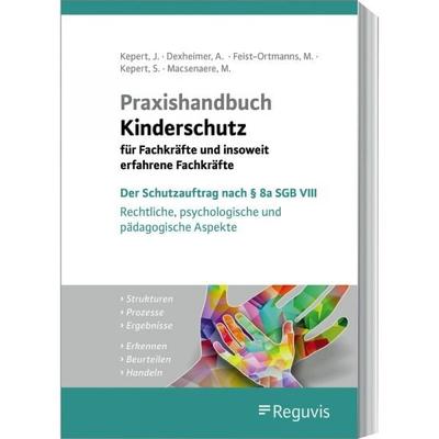 Praxishandbuch Kinderschutz für Fachkräfte und insoweit erfahrene Fachkräfte, Taschenbuch von Andreas Dexheimer,Jörg. M. Fegert,Michael