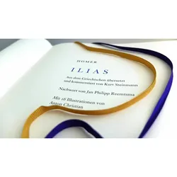 Ilias, Belletristik