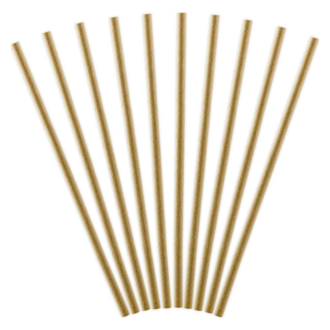 Partydeco Natürliche Trinkhalme Kraft (10x) (SPP9-031)