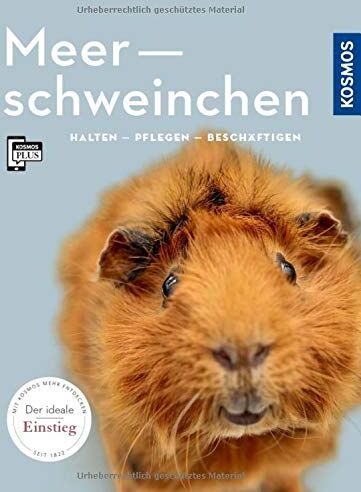 Angela Beck - Meerschweinchen: halten, pflegen, beschäftigen (Mein Tier) - Preis vom 13.10.2026 11:25:28 h