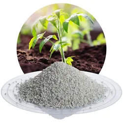 Zeolith-100 1,0-2,5 mm - 25 kg Sack