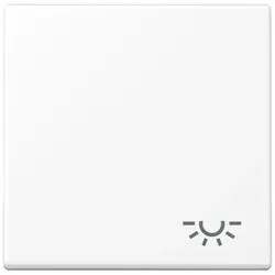 Jung Wippe 1-fach A 590 L WWM A590LWWM