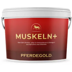 1,5 kg Pferdegold Muskeln+