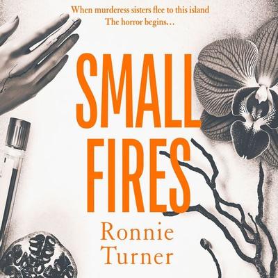 Small Fires - Ronnie Turner, Audio, 9781399162555