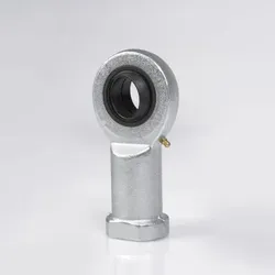 Gelenkköpfe GIR25 DO2RS
