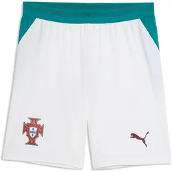 Puma, Herren, Sporthose, FPF Shorts Replica (M), Grün, Weiss