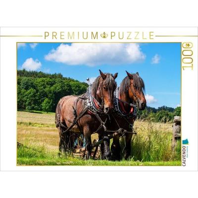 CALVENDO Puzzle Pferde Gespann belgisches Kaltblut | 1000 Teile Lege-Größe 64x48cm Foto-Puzzle für glückliche Stunden, Sonstige von , Calvendo Puzzle