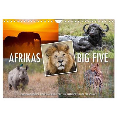 Emotionale Momente: Afrikas Big Five (Wandkalender 2027 DIN A4 quer), CALVENDO Monatskalender
