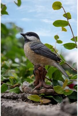 Hi-Line Gift Chickadee Peeking on stump Garden Statue