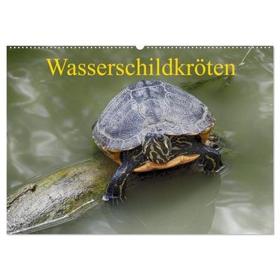 Wasserschildkröten (Wandkalender 2027 DIN A2 quer), CALVENDO Monatskalender