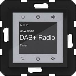 Hager Unterputz-Radio Nachtschwarz (glänzend) WAN6011BG 1 St.