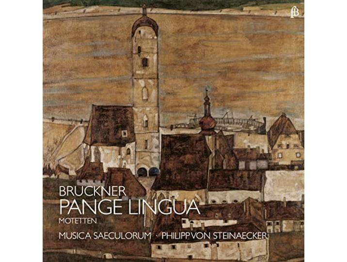 Musica Saeculorum - Pange Lingua - Motetten