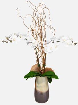 Uttermost Earthbound Orchid With Vase