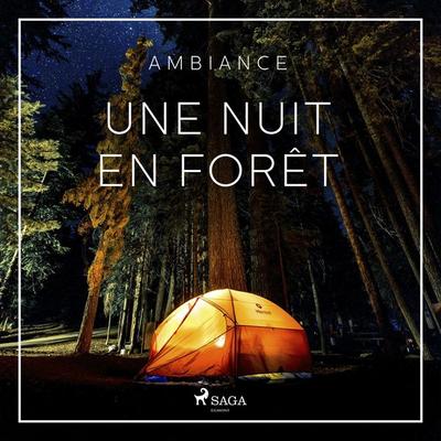 Une nuit en forêt - Rasmus Broe, Audio, 9788727324357