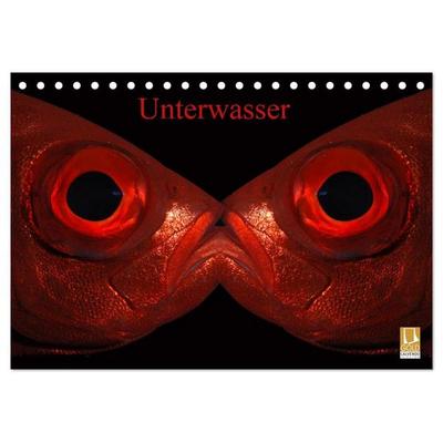 Unterwasser (Tischkalender 2026 DIN A5 quer), CALVENDO Monatskalender