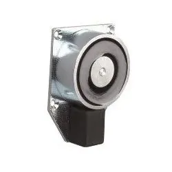 Hekatron Vertriebs Türhaftmagnet THM 425 6500016