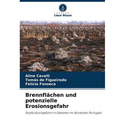 Brennflächen und potenzielle Erosionsgefahr, Taschenbuch von Aline Cavalli,Tomás de Figueiredo,Felícia Fonseca, Verlag Unser Wissen, 978-620-6-80697-4