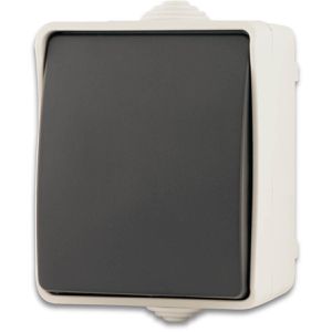 REV-Ritter Lichtschalter AquaBase, grau, Aufputz, Feuchtraum IP54, Wechselschalter