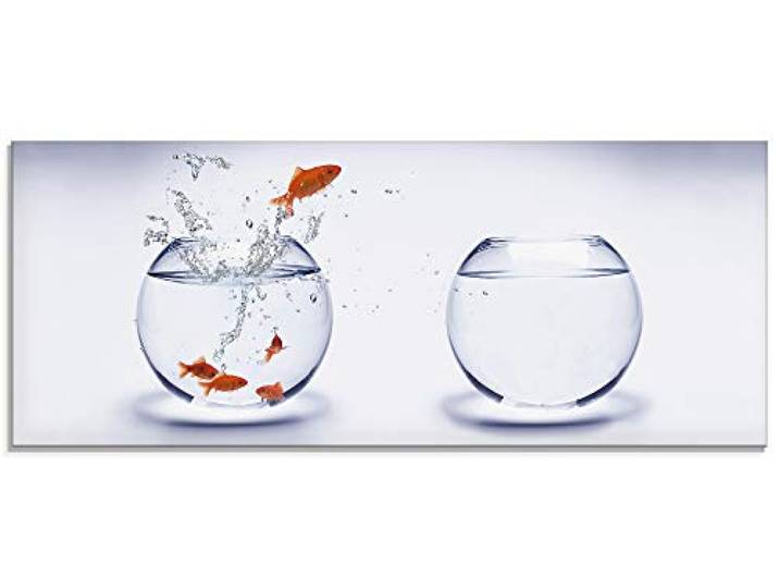 ARTland Wanddeko Glasbilder Wandbild Glas Bild einteilig 125x50 cm Querformat Tiere Fische Goldfisch Aquarium Wasser T5XF