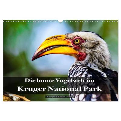 Die bunte Vogelwelt im Kruger National Park (Wandkalender 2026 DIN A3 quer), CALVENDO Monatskalender