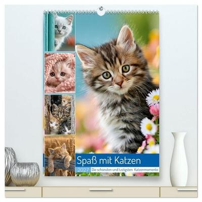 Spaß mit Katzen (hochwertiger Premium Wandkalender 2027 DIN A2 hoch), Kunstdruck in Hochglanz
