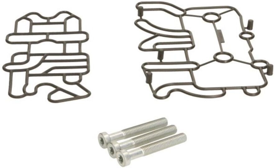 Dichtung, Magnetventil WABCO 4213559472
