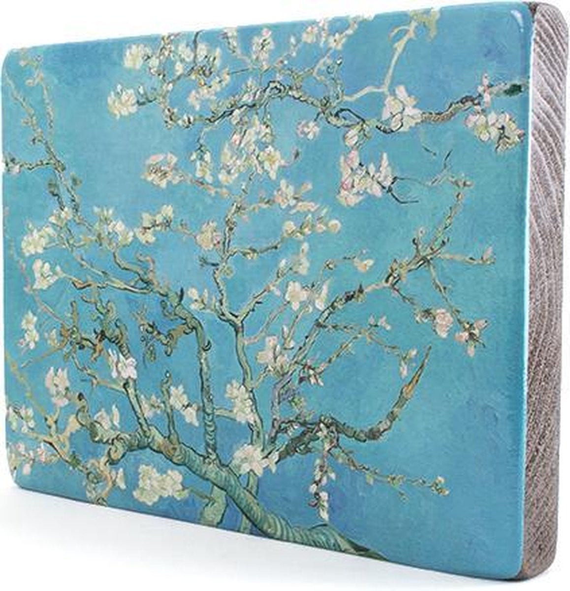 Van Gogh Amandelbloesem reproductie op hout van Meesters op hout