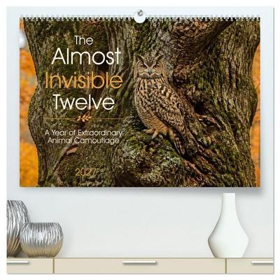 The Almost Invisible Twelve (High Quality Premium Wall Calendar 2027 DIN A2 landscape),CALVENDO 12 Month Wall Calendar