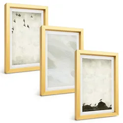 BILDER SET 3er Set - 20x30 cm Goldrahmen - Vögel, Steine, Pinselstriche, Verzierungen