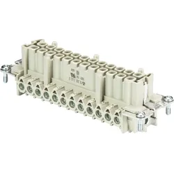 Wieland Buchseneinsatz 70.302.2440.0