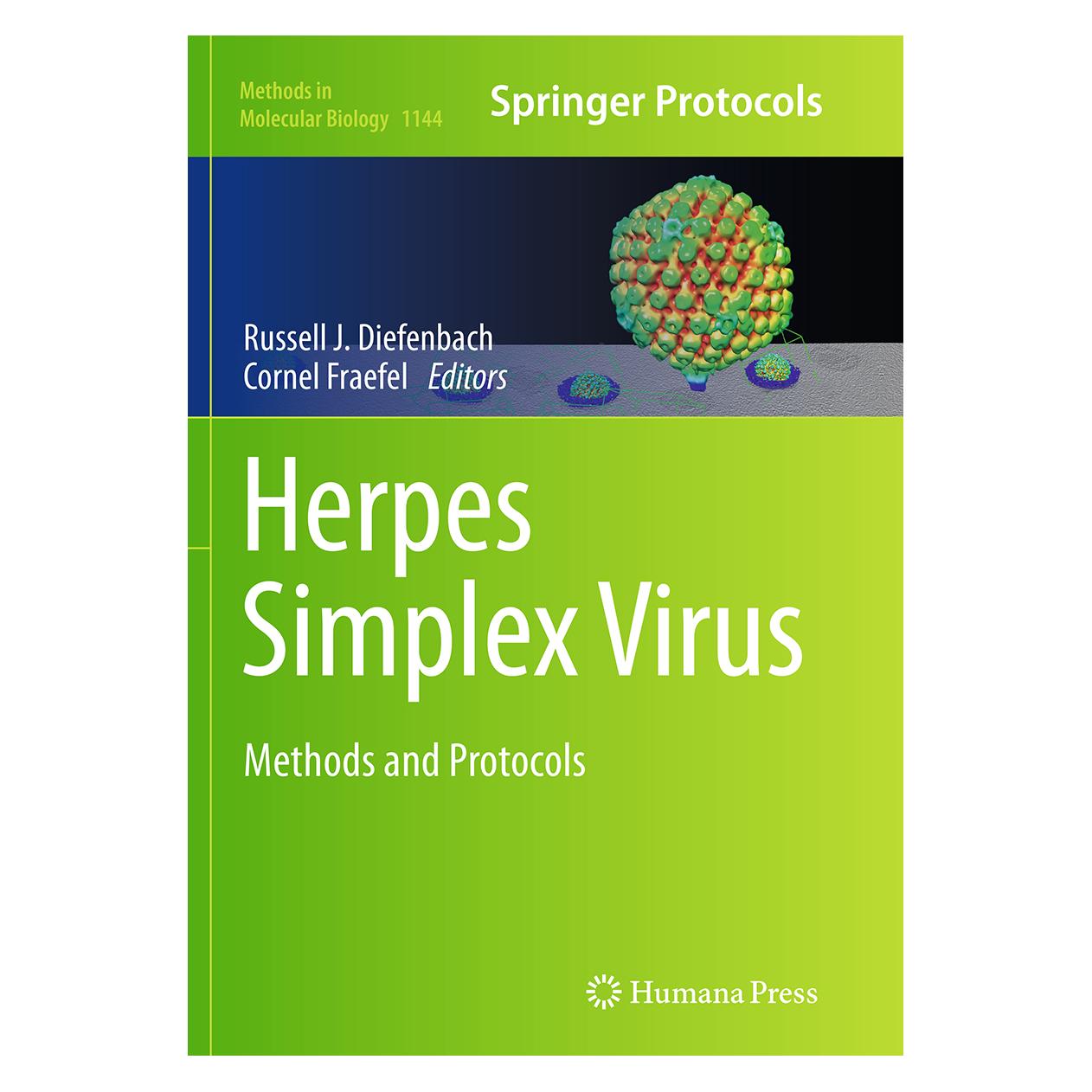 Springer Herpes Simplex Virus (Englisch, Softcover, Cornel Fraefel, J Diefenbach, Russell Fraefel, Russell J. Diefenbach) (55833869)