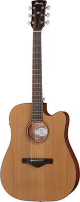 Ibanez AW65ECE-LG Naturel