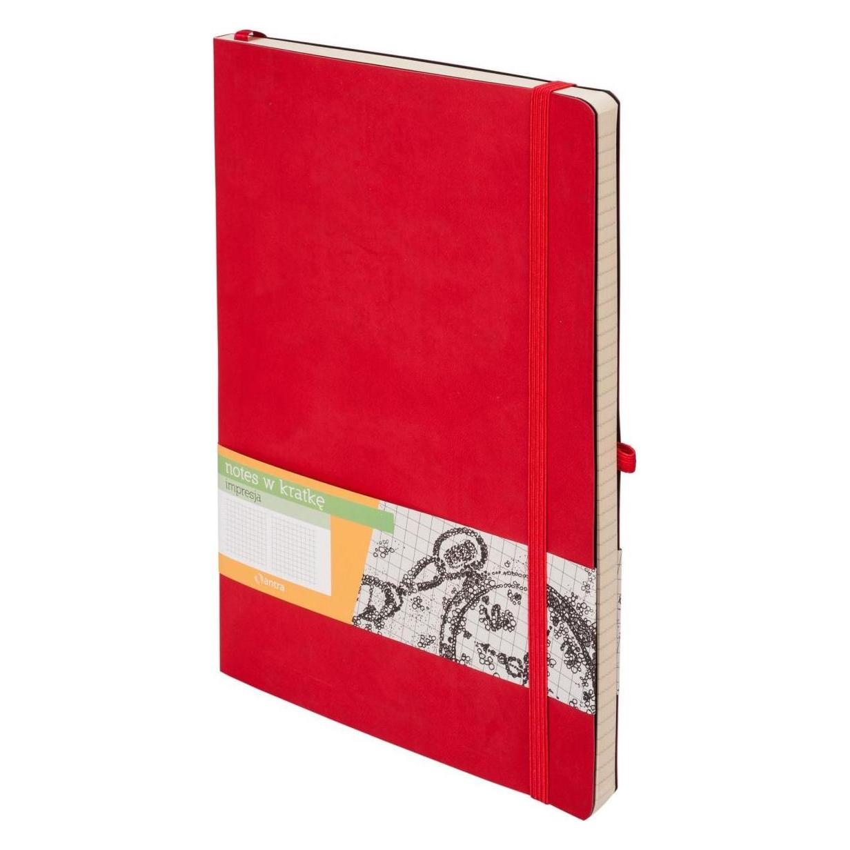 Antrax Notes B5 Grate Impresja (233237) (B5, Kariert) (233237)