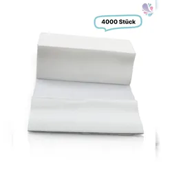 Blanc HYGIENIC Papierhandtücher ZZ-Falz, Handtuchpapier, Recyclingpapier, hochweiß, 2-lagig, 4.000 Tücher je SET