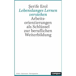 Lebenslanges Lernen verstehen, Fachbücher von Şerife Erol
